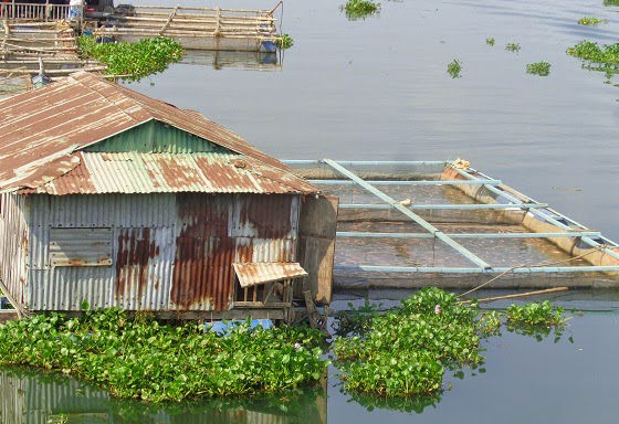 đi cắm trại thác mai - camping thác mai