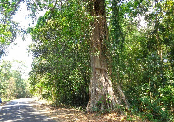 đi cắm trại thác mai - camping thác mai