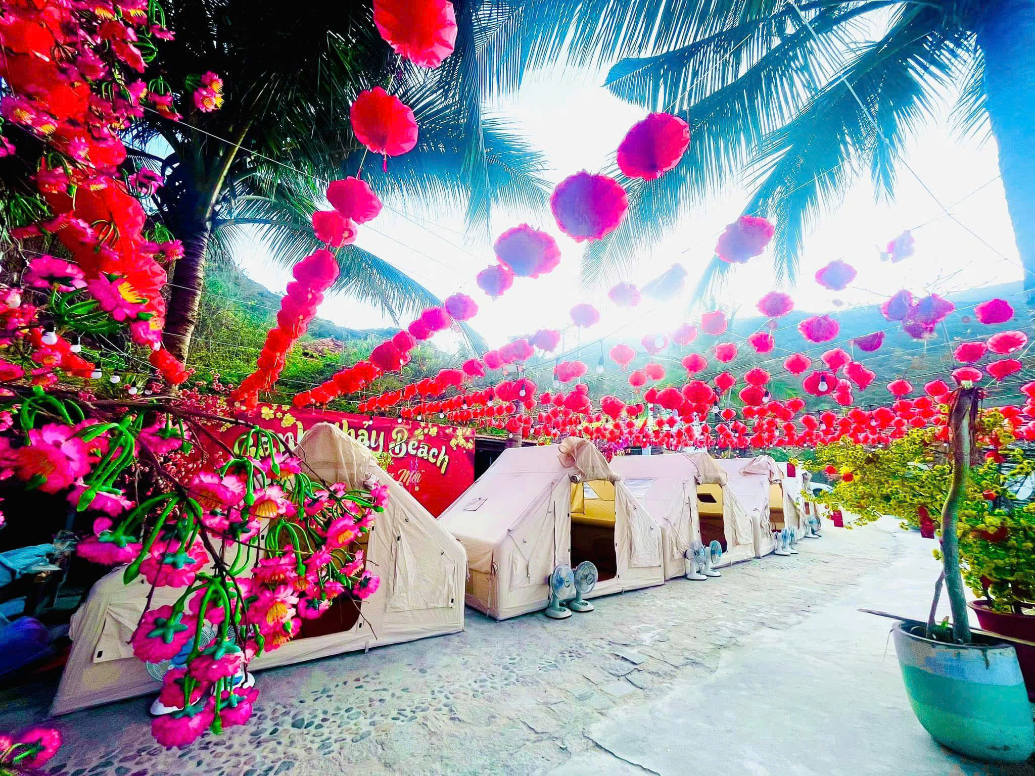 glamping nha trang - khu du lịch gành nhảy